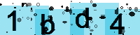 Capcha code