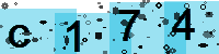 Capcha code