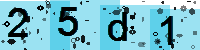Capcha code