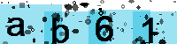 Capcha code