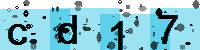 Capcha code