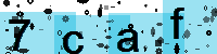 Capcha code