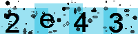Capcha code