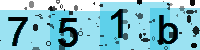Capcha code