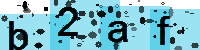 Capcha code