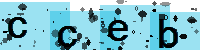 Capcha code