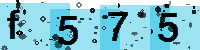 Capcha code