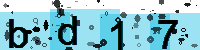 Capcha code