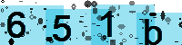 Capcha code