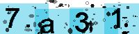 Capcha code