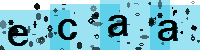 Capcha code
