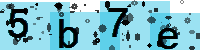 Capcha code