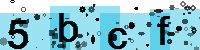 Capcha code