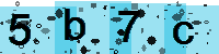 Capcha code