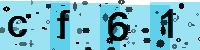 Capcha code