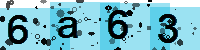 Capcha code