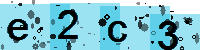 Capcha code