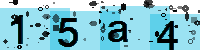 Capcha code
