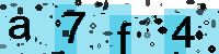 Capcha code