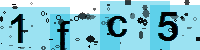 Capcha code