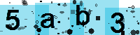 Capcha code