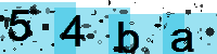 Capcha code