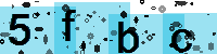Capcha code