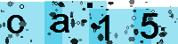 Capcha code