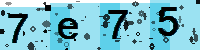 Capcha code