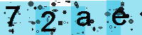 Capcha code