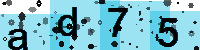 Capcha code