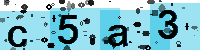 Capcha code