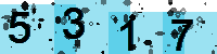 Capcha code