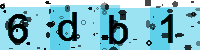 Capcha code