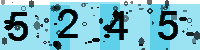 Capcha code