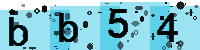 Capcha code