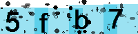 Capcha code