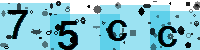 Capcha code