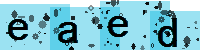 Capcha code