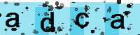Capcha code
