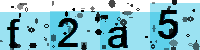 Capcha code