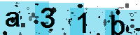 Capcha code
