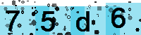 Capcha code