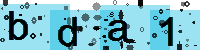 Capcha code