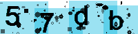 Capcha code