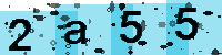 Capcha code