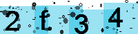 Capcha code
