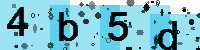 Capcha code