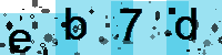 Capcha code