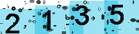Capcha code